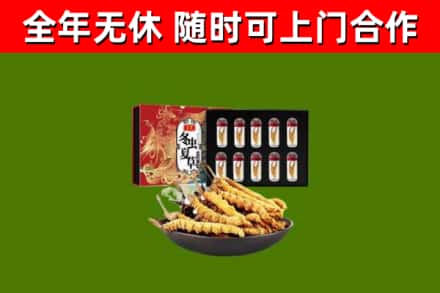 威远回收冬虫夏草价格